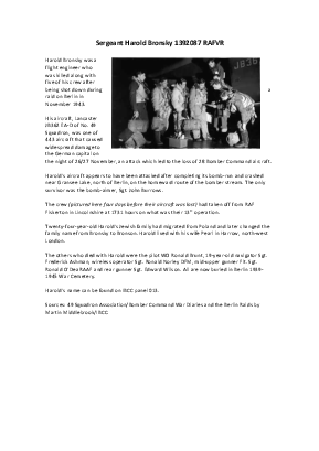 A preview of a PDF biography for Bronsky, Harold
